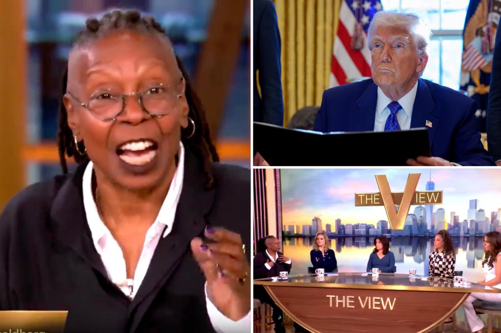 Whoopi Goldberg clashes with 'The View' co-perpetrator to talk to Trump's voters